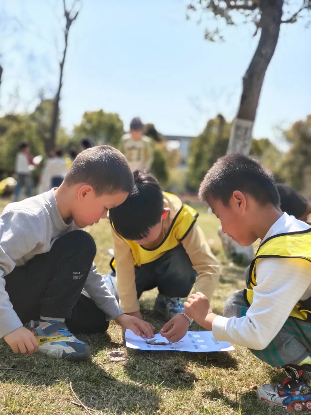 星空体育app-城市奔跑寻宝游，运动与趣味的完美结合的简单介绍