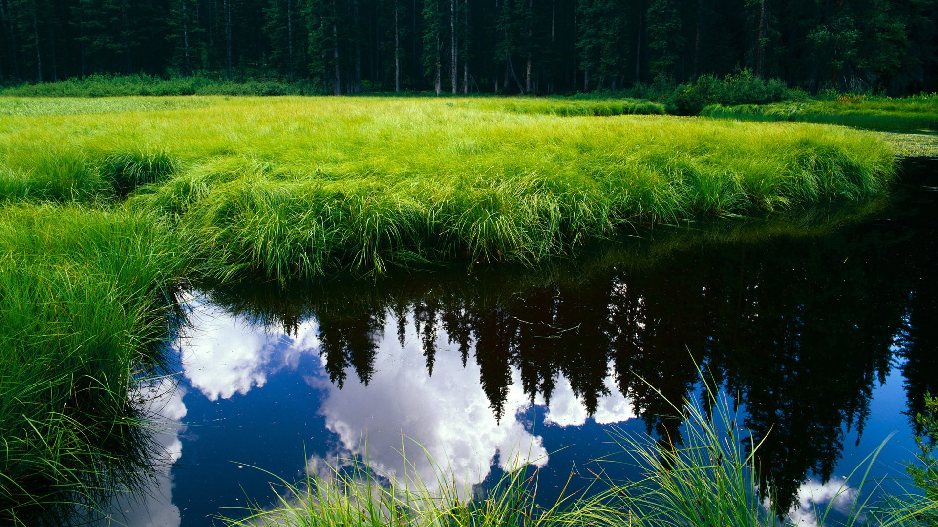 星空体育网站安全-弗拉门戈防守体系稳固，弗拉门戈守门员