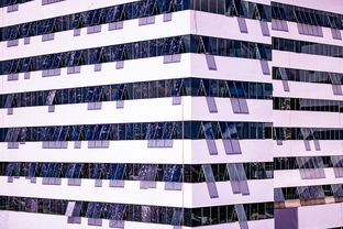 星空体育app官方网站-中国篮球职业联赛青训体系建设与优化，中国青年篮球队