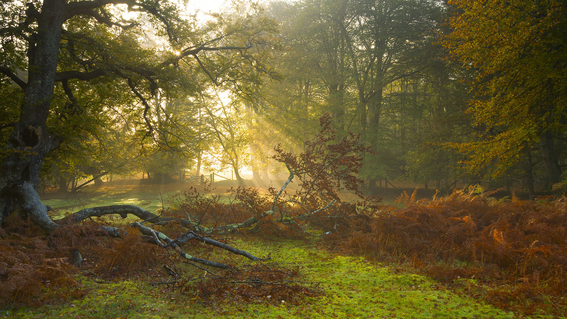 星空体育网页-体育新闻中心发布体育行业内容质量标准体系,体育产业文件