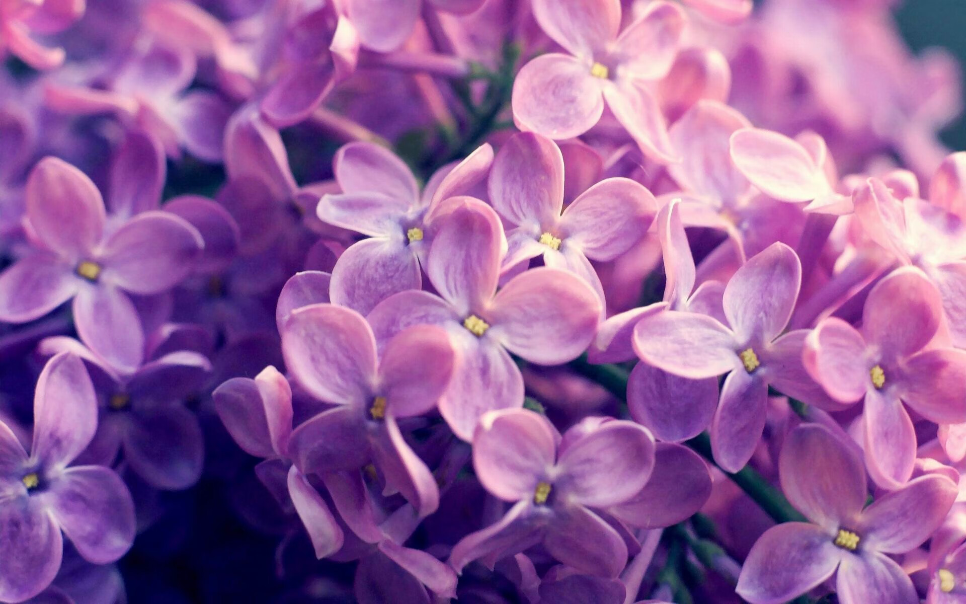 星空体育官网-医疗团队保障强化，大赛健康管理成亮点，医疗竞赛比赛口号