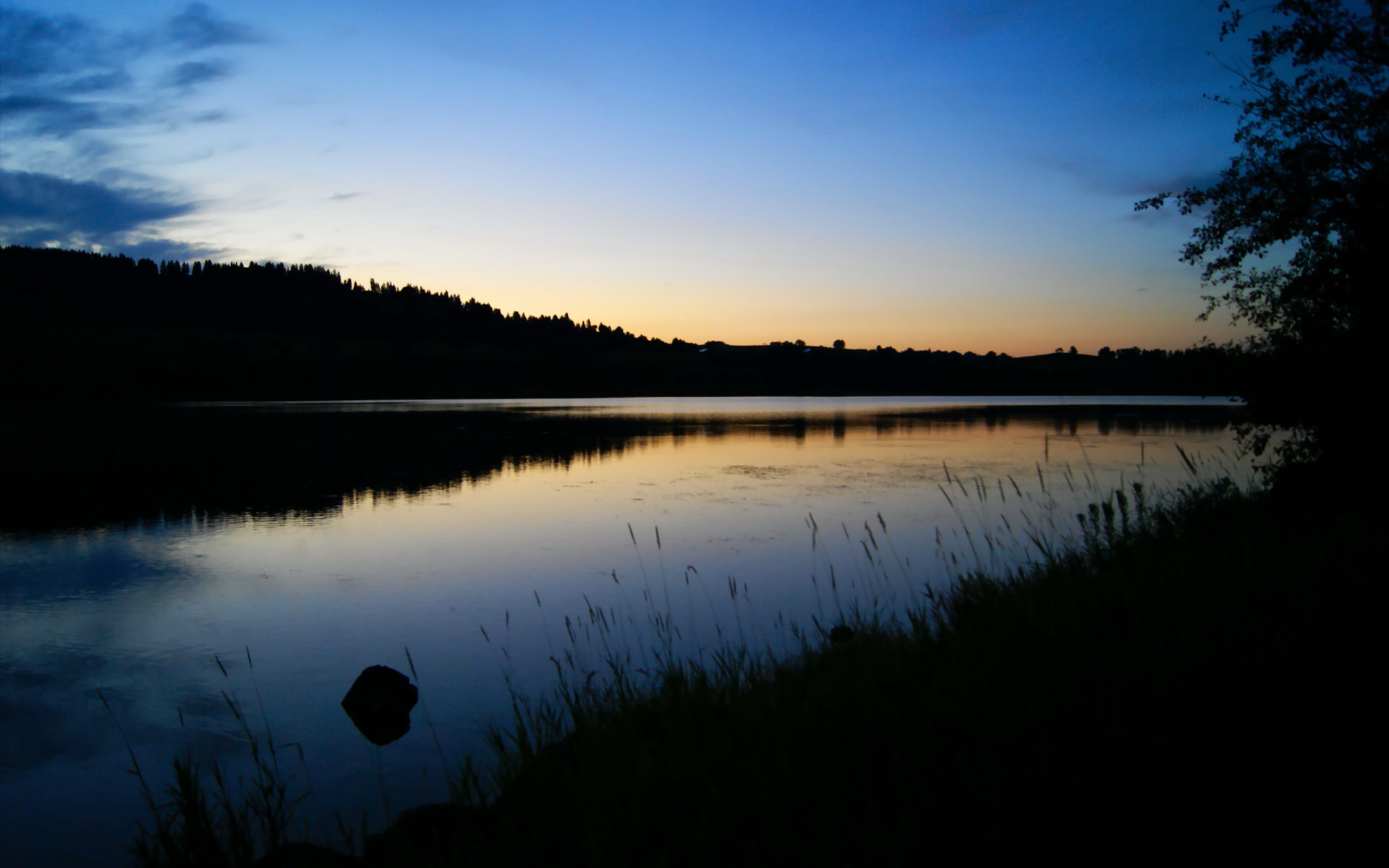 星空体育中国-恩多耶-布鲁阿尔决赛精彩瞬间成为焦点，多恩布什