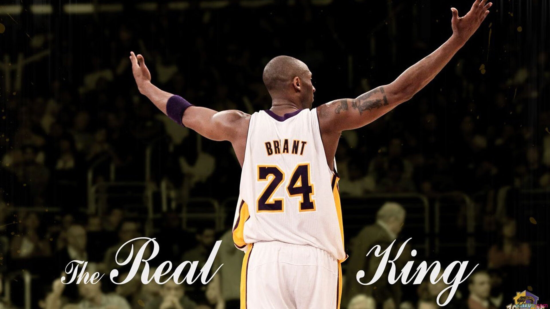 _冬季冰溪漂流：冰原中的水上极限体验_，冰溪有用吗